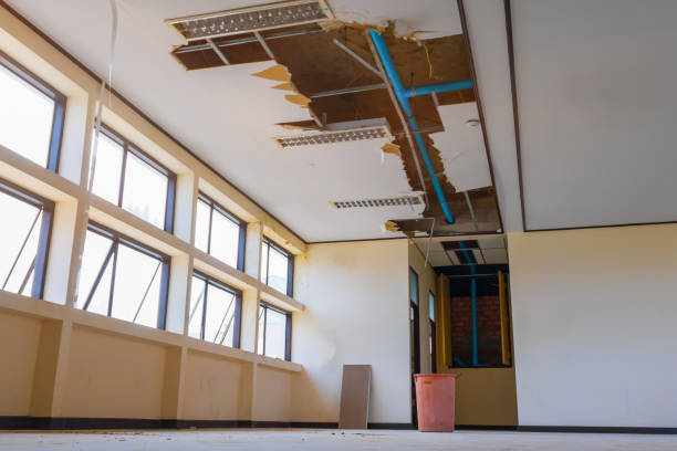 Best Water damage cleanup near me  in Defiance, OH