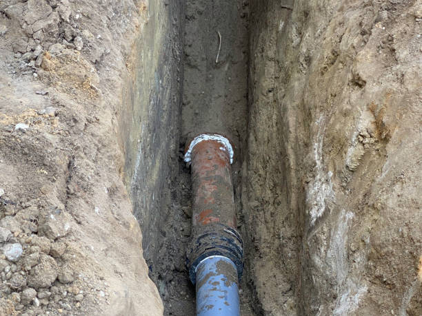 Best Basement water damage restoration  in Defiance, OH