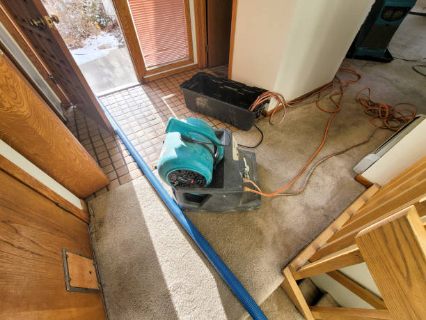 Best Ceiling water damage repair  in Defiance, OH