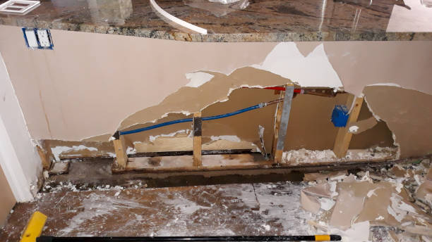 Best Water damage contractors near me  in Defiance, OH