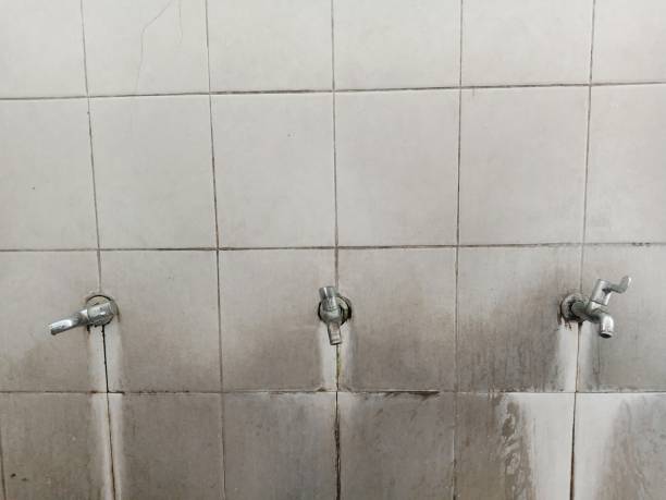 Best Commercial water damage restoration  in Defiance, OH