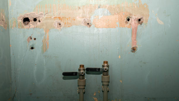 Best Ceiling water damage repair  in Defiance, OH